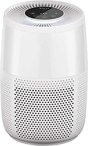 Instant Air Purifier AP100,Helps to remove 99.9 Percent of Viruses,Bacteria and Allergens,Advanced 3-in-1 HEPA Filtration System-pollen filtration,air cleaner,dust extraction-for home and business use