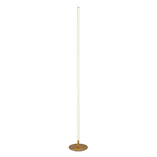 WQXD modern Metal LED Floor Lamp，gold Vertical Smart 24w Remote Control Stepless Dimming Atmosphere Floor Light，for Bedroom，living Room (Color : Gold)