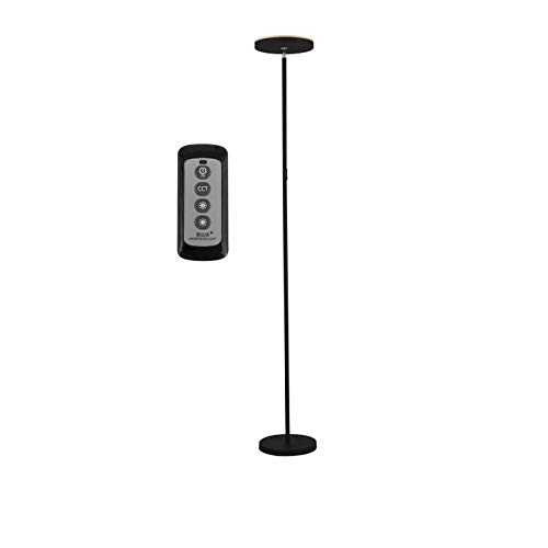 KAIBINY YY Led Remote Touch Floor Lamp up Black Dimming Floor Lamp Tall Standing Promotion LED Torchiere Floor Lamp LED Bulbs E27 (Lampshade Color : R C switch)