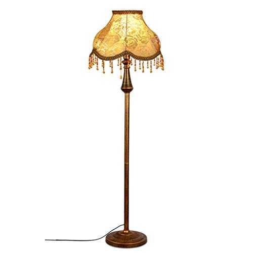 OBRARY Floor Lamp Iron Floor Lamp Indoor Standing Lamp Antique Suitable for Living Room Bedroom - Foot Switch (Color : Floor Lamp) liuzhiliang (Color : Floor Lamp)