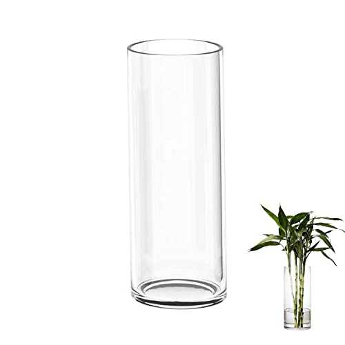 TSKDKIT Large Glass Vase for Flowers 30cm Glass Cylinder Vase Clear Vase for Living Room Modern Large Vase 30 x 10cm