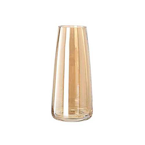 8.7 inch Modern Glass Vase Clear Glass Vase Transparent Vase for Home Office Wedding Decor Flower Plant Container Decorative Vase Gift for Birthday (Amber)