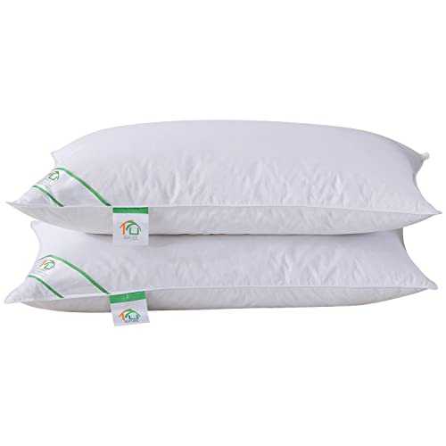 Goose Feather and Down Pillows Pair, Luxury Pillows with 100% Cotton Cover, Medium and Soft Firmness, Hotel Quality(48X74cm)