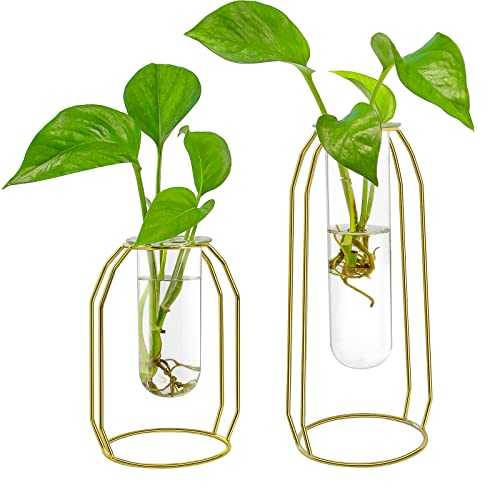 Ivolador Tabletop Metal Frame Test Tube Vase Planter Terrariums Metal Stand with 2 Test Tube Perfect for Propagating Hydroponic Plants Home Garden Wedding Decoration (Golden2)