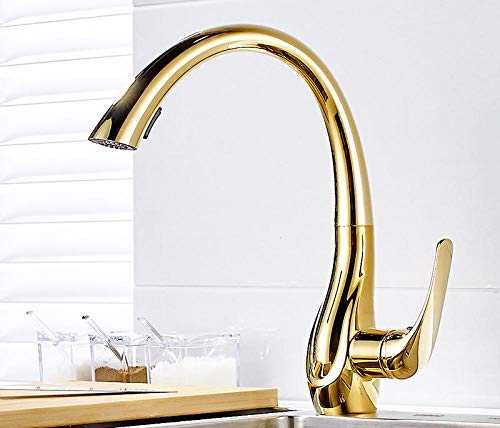 Faucet Kitchen Sink Faucets Brass Pull Out Spray Nozzle Mixer Taps Single Handle Hot & Cold Rotating Kitchen Water Crane Taps-Gold Friendship Lasts