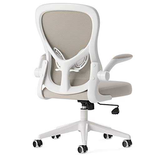 Hbada Ergonomic Desk Chair, Computer Office Chair with Flip-up Armrest&Lumbar Support, Adjustable Height, Grey
