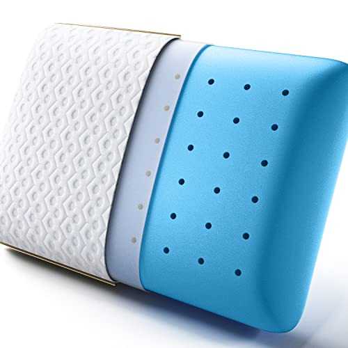 BedStory Memory Foam Pillow, Cooling Gel Pillows for Sleeping, Cervical Bed Pillow for Neck Pain Orthopedic - Side Stomach Back Sleepers, Ventilated DesignRemovable & Washable Cover (40X60X14CM)