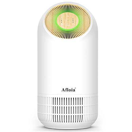 FILLO Air Purifier With True H13 HEPA Active Carbon Air Filter, Air Cleaner with Timer for Bedroom Office