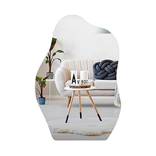 ZCYY Mirror Full-length, floor-to-ceiling, outdoor coffee shop homestay wall-mounted decorative 65 * 78/65 * 95cm girl fitting special-shaped