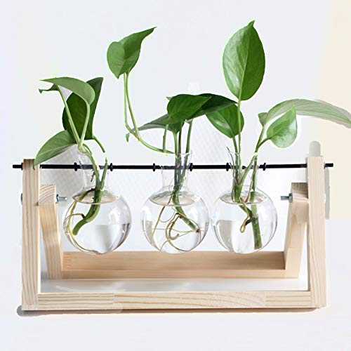 Creative Hydroponic Plant Transparent Wooden Frame Vase Desktop Small Fresh Container Living Room Modern Decoration (Off-White)