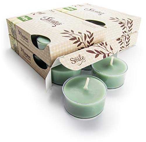 Bayberry Fir Tealight Candles Bulk Pack (24 Green Highly Scented Tea Lights) - Made with Natural Oils - Clear Cup for Beautiful Candlelight - Christmas & Holiday Collection
