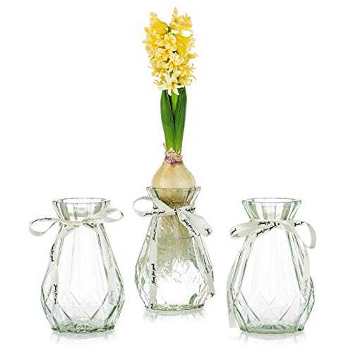 Clear Glass Vases for Flowers with Silk Rope, 3 Pcs Modern Hyacinth Vases Bud Avocado Vase Sweet Pea Vase for Hydroponic Plant Daffodil Orchids for Desktop Table Indoor Windowsill Decor