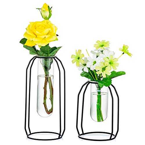 NUPTIO Vases Set of 2 Glass Vases with Metal Frame, Modern Black Frame Cylinder Clear Vase Planter Terrariums, Flower Holder Decorations for Wedding Living Room, Office, Party