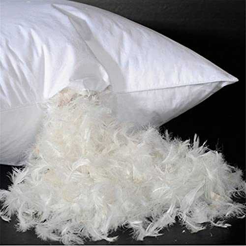 SKRHFLH Feather Pillow Core Duck Feather Goose Feather Cushion Core Sofa Bed Car Pillow (Color : Goose feather, Size : 50x50cm)