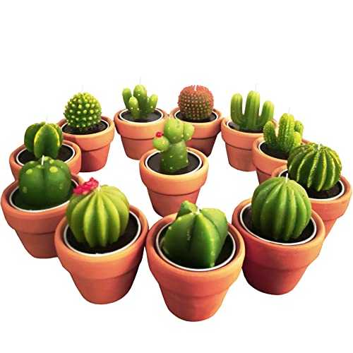 Succulent Candles, Novelty Cactus Tealight Candle Baby Shower Candle Decorations for Party Favors Terrarium Cacti candels Home Decor