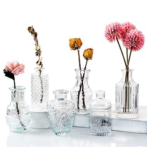 6 Pcs Small Glass Flower Vases with Brush, Glass Clear Mini Bud Sweet Pea Vases in Bulk for Rustic Home Wedding Centerpieces Dining Table Room Decorations