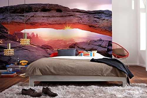 Arch Canyon Wall Mural Wallpaper Next Day delivery UPS