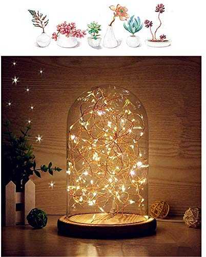 MUCHER Glass Bell Jar Display Dome Bamboo Base USB Bedside Table Lamp with LED Fairy Starry String Lights Ideal for Decoration Anywhere (Warm White)