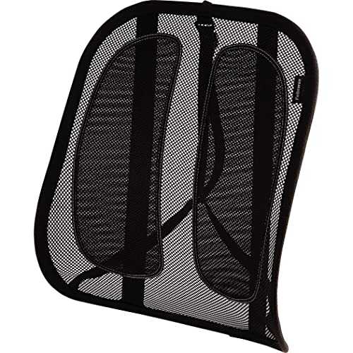 Fellowes Suites Mesh Back Support for Office Chair with Tri-Tensioning, Graphite, Standard, 9191301