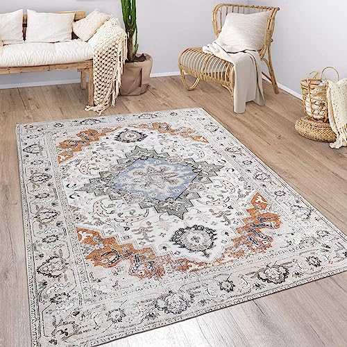 Persian Area Rug Non-Slip 3'x5' Printed Indoor Accent Rug Washable Low-Pile Small Foldable Carpets Indoor Entry Throw Rug for Bedroom Living Room Dining
