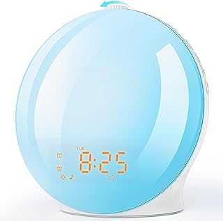 Alarm Clock Wake Up Light with Sunrise/Sunset Simulation Dual Alarms and Snooze Function, 7 Colors Atmosphere Lamp, 7 Natural Sounds and FM Radio, Built-in Phone Charging Port [Energy Class G]