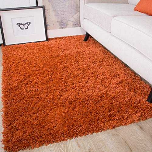 Ontario Terracotta Orange Soft Warm Thick Shaggy Shag Fluffy Living Room Area Rug