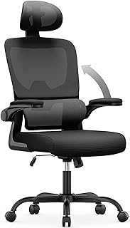 naspaluro Office Desk Chair, Ergonomic Office Chair Computer Chair with Back Support and Headrest, High Back Flip-up Armrests Mesh Chair, Gift for Christmas, PC Chair-Black