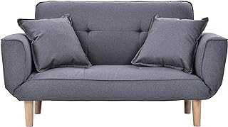 LODYPERO Sofa Bed Small Modern and Simple Gray Sofa Velvet with Grab Living Room 2 Seater Sofa Convertible Sofa Couch Settee Recliner Sleeper,SLIGHT GRAY