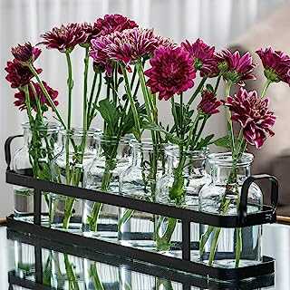 Glass Flower Vase with Metal Holder, & 6 Bud vases for Flowers, Set for Home Décor, Wedding Decorations, Table Décor, Kitchen, Bathroom, Bedroom, Shelf Décor - Modern Vase for Flower Arrangement