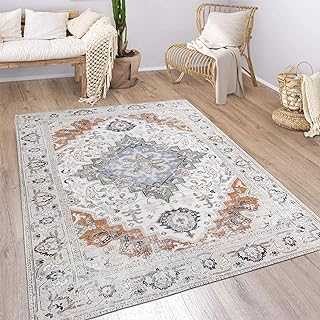 Persian Area Rug Non-Slip 3'x5' Printed Indoor Accent Rug Washable Low-Pile Small Foldable Carpets Indoor Entry Throw Rug for Bedroom Living Room Dining