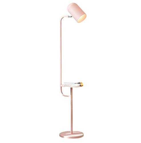 OBRARY Floor Lamp Iron Rack Floor Lamp Indoor Lighting Standing Lamp Antique Suitable for Living Room Bedroom - Foot Switch (Color : Yellow) liuzhiliang (Color : Pink)