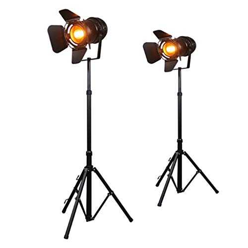 OBRARY Floor Lamp Iron Retro Floor Lamp Industrial Wind Indoor Lighting Standing Lamp Antique Suitable for Living Room Bedroom - Foot Switch (Color : 1 Set of Two) liuzhiliang (Color : 1 Set of Two)