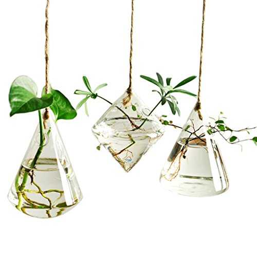 Ivolador Glass Vase Container Flower Plant Hanging Glass for Hydroponic Vase Home Garden Decor -3 Type