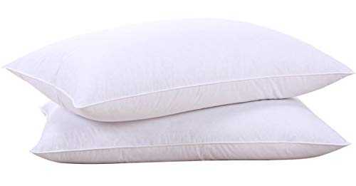 puredown Natural Goose Down Feather White Pillow Inserts, 100% Egyptian Cotton Fabric Cover Bed Pillows, Set of 2 Standard Size