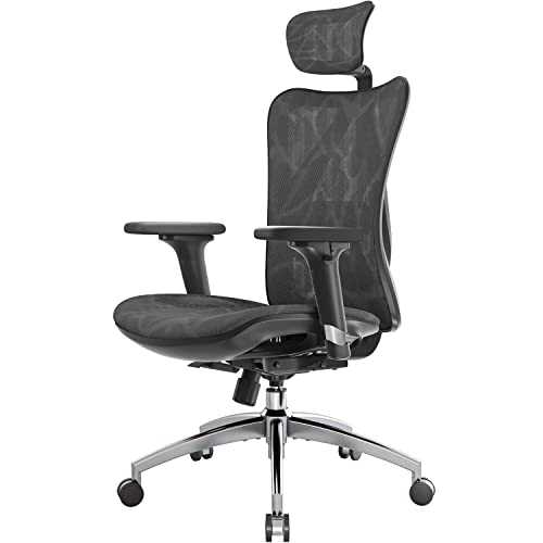 SIHOO Ergonomic Office Chair Mesh Desk Chair with Adjustable Lumbar Support 3D Armrests Breathable High Back Computer Chair (Black)