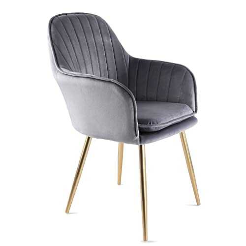 Genesis Muse Velvet Fabric Tub Chair Armchairs With Golden Chrome Finish Metal Tube Legs (Grey/Gold)