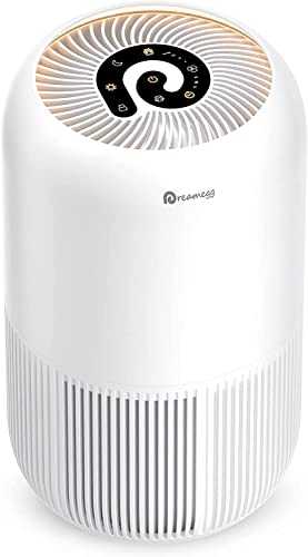 Dreamegg HEPA Air Purifier Air Purifier for Home Allergies and Pets Hair Smokers in Bedroom