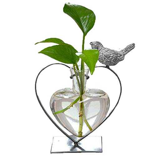 Marbrasse Desktop Glass Planter Hydroponics Vase, Planter Glass Vase with Holder for Home Decoration, Modern Creative Heart Shape Bird Plant Terrarium Stand, Scindapsus Container