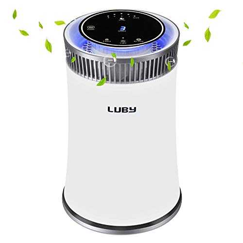 Luby Air Purifier for Home with True HEPA Filter, 5 Speeds, 8H Timer, Night Light & Filter Change Reminder, Portable Air Cleaner for Dust, Smokers, Pollen, Pet Dander, Hayfever, Cooking Smell
