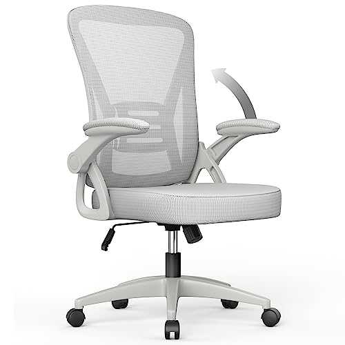 naspaluro Ergonomic Desk Chair with 90° Flip-up Armrest Lumbar Support, Height Adjustable, Executive Swivel Computer Chair with Padded Seat Cushion for Home/Office-Grey