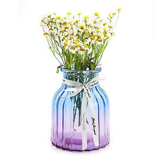 OFFIDIX Glass vase Gradient Multicolor Vase, Home, Office, Living Room Decoration Glass Flower Vase ( Blue Purple)