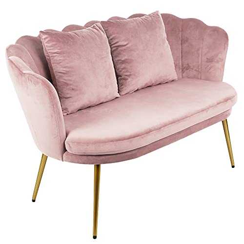 RayGar Genesis Flora 2 Seater Sofa Loveseat Couch With Golden Chrome Finish Metal Tube Legs (Silver Pink)