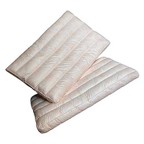 HJUIK Luxury Soft Pillows For Sleeping Pack Of 2 Microfiber Filling Pillow For Deep Sleep (Color : Beige, Size : 48X74cm)