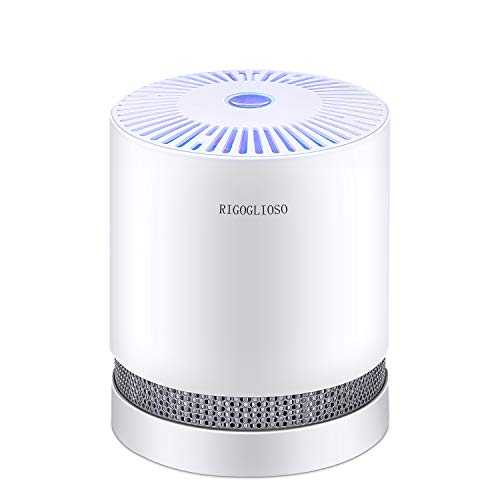 RIGOGLIOSO Home with True HEPA Filters, Compact Desktop Purifiers Filtration with Night Light, No Ozone, Air Cleaner for PM2.5, Allergies, Pets Dander, Cooking,Smokers,Dust, GL-2109