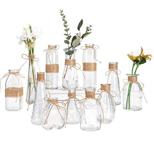 CUCUMI Glass Vases Set of 12, Vintage Flower Vases Table Decor Centerpieces with Rope Design and 12 Unique Shapes for Rustic Home Decor, Modern Farmhouse, Bookshelf, Entryway, Wedding Decoration