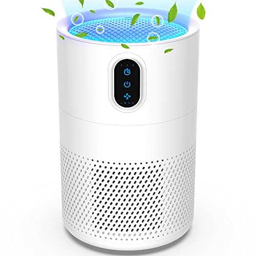Air Purifier for Bedroom with H13 True HEPA & Active Carbon Filter, Children Lock, 3 Speeds, Removes 99.97% of Allergy Particles for Home, Living Room