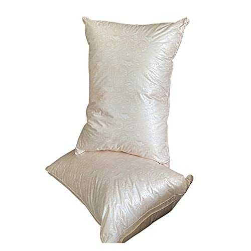 Support Bed Pillows 2 Pack Comfort Hotel Soft Pillow With Microfiber Filling For Side Back Stomach Sleeper (Color : Beige, Size : 50x70cm)