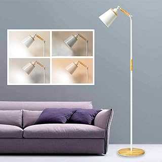 1-Light LED Floor Lamp, Daylight for Reading, Artists, Crafts Dimmable - Adjustable Standing Light with Gooseneck