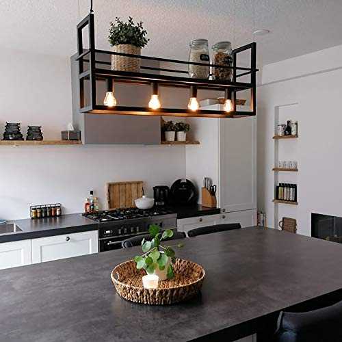 QAZQA Modern Industrial Hanging lamp Black with 4-Light Rack - Cage Rack Steel Oblong E27 Max. 4 x 60 Watt / 4-Way/Indoor Lighting/Lights/Lamps/Living Room/Kitchen