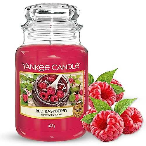Yankee Candle Scented Candle | Red Raspberry Large Jar Candle | Long Burning Candles: up to 150 Hours | Perfect Gifts for Women